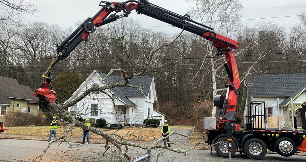 Crane/Mechanical Tree Removal Green Valley Tree, LLC